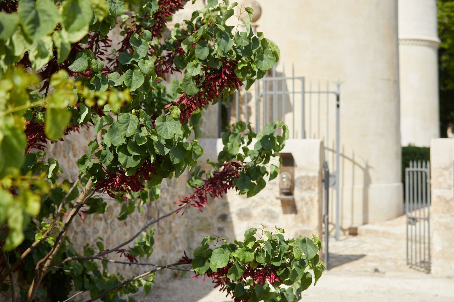 Chateau de Fonscolombe